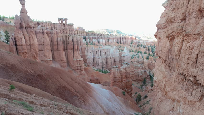 Red rock formations (hoodoos) in Bryce Canyon. Utah, USA. 