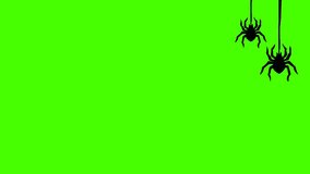 Animation of Black Spider on green screen  - Powered by Shutterstock - Get 15% off with code: PIKWIZARD15