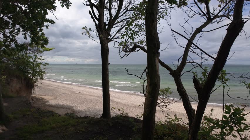 Trees standing on the top of the steep sand cliffs above a beautiful Baltic sea beach on a cold and windy summer day. Wild nature, beach forest along a dangerous cliff edge near Heiligendamm, Germany.