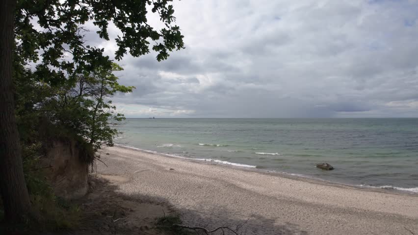 Trees standing on the top of the steep sand cliffs above a beautiful Baltic sea beach on a cold and windy summer day. Wild nature, beach forest along a dangerous cliff edge near Heiligendamm, Germany.