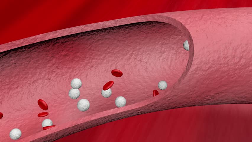 Ethanol absorption inside of blood vessel 3d rendering