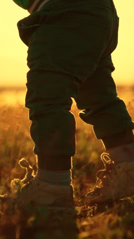Children's feet walk across lawn. Mother supports child taking first steps in park. Babys legs are walking on grass at sunset. Cute baby walks with mom on lawn in sun. Baby learns to walk with dad