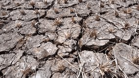 Cracked soil in paddy rice field. Drought, crop failure, global warming, climate change concept. Abstract texture background. Dried cracked earth ground texture. - Powered by Shutterstock - Get 15% off with code: PIKWIZARD15