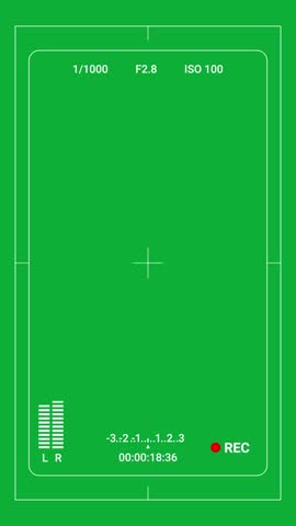 Vertical video animation of a DSLR smartphone display with multiple settings and timer. Recording interface for video.