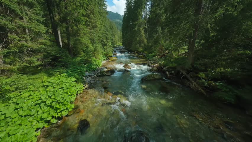 Flight over a mountain river. Shot on FPV drone. Tatra Mountains, Slovakia.
