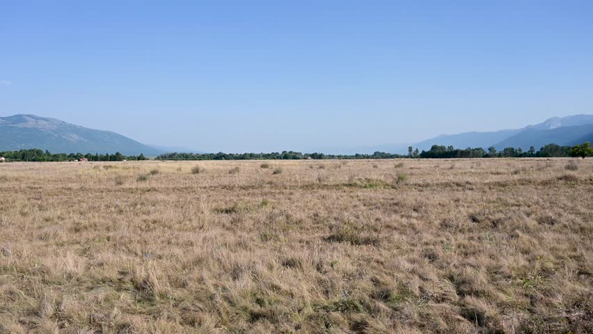 Grass growing on the field in summer. Huge field in nature. Karst field. 
