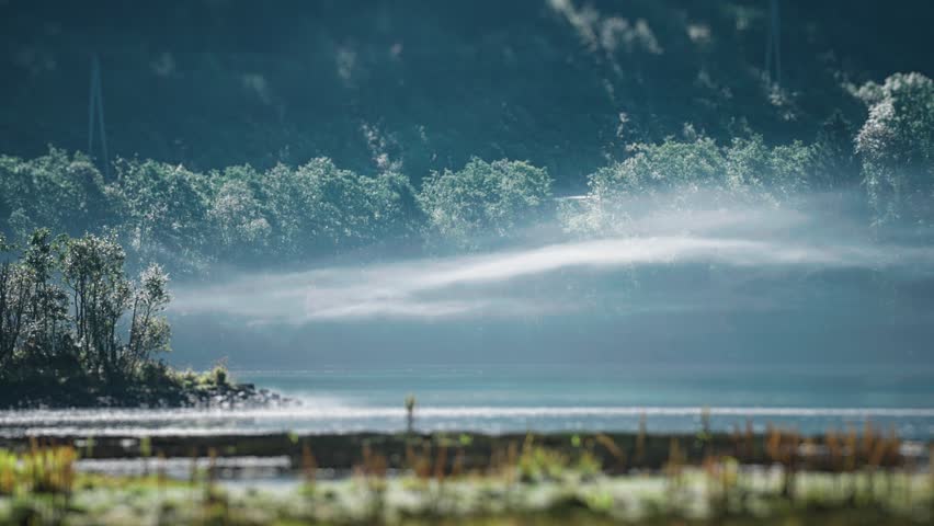 The thin fog floats and whirls slowly above the lake. The dense forest in the background. High-quality 4k footage
