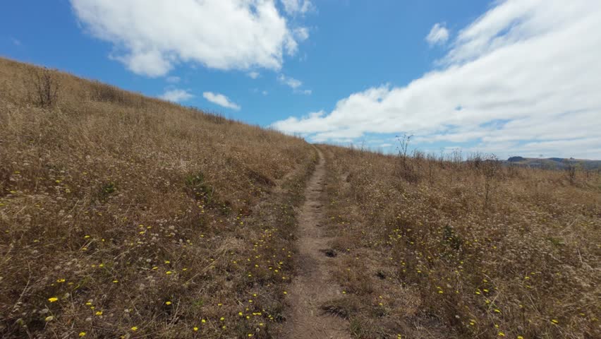 hiking up a trail on california coast in summer 
