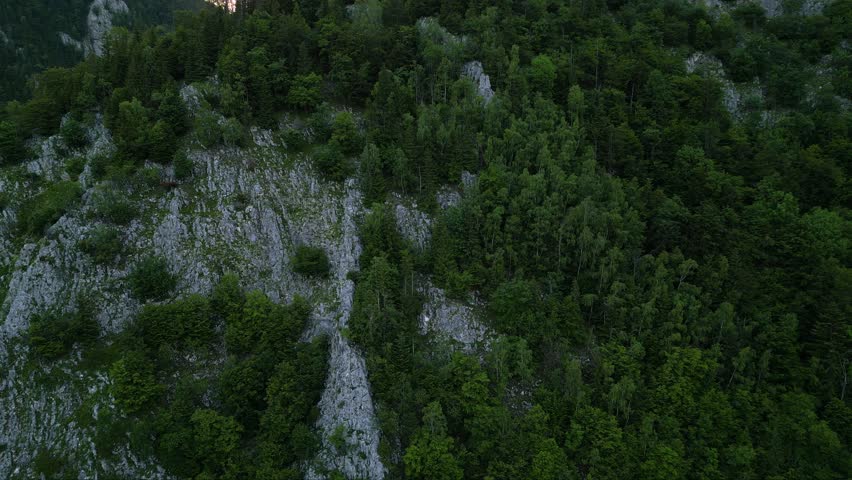 Aerial drone shot of Valea Prapastiilor as seen from the sky of Magura on a green sunny summer day. The romanian Carpathian mountains Piatra Craiului area seen from above. Top down footage of canyon.