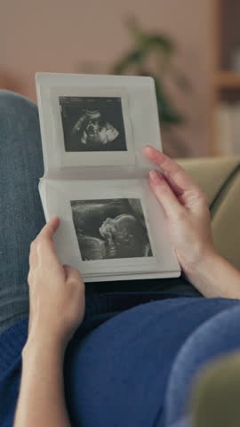 Shutterstock Video