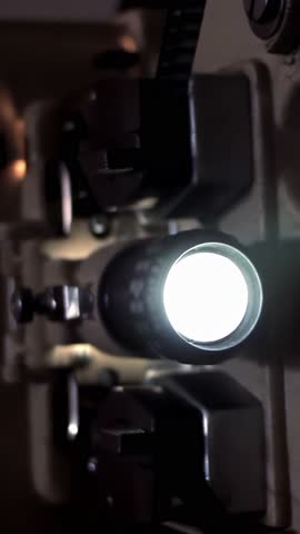 Shutterstock Video
