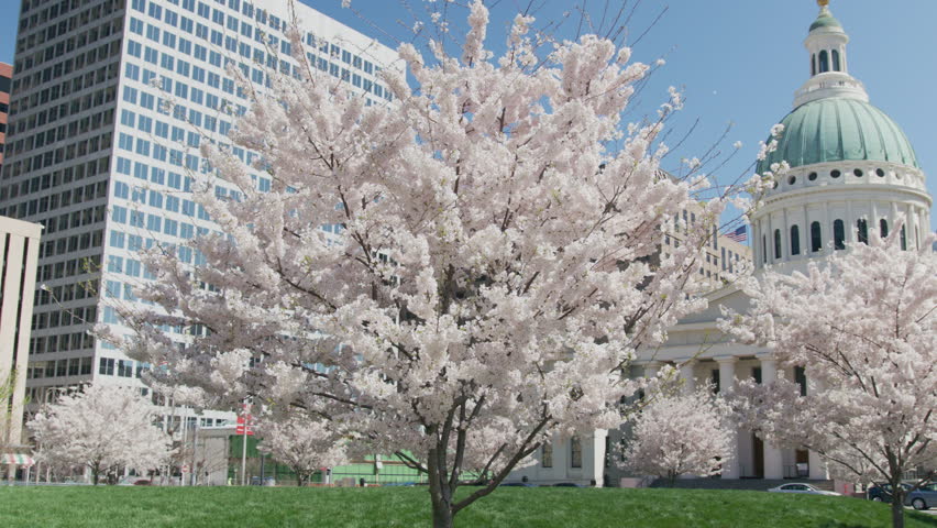 Slow-motion shot of the St. Louis City Garden in bloom with the Old Courthouse and Gateway Arch in the background.