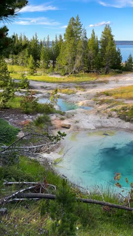 Vertical 4k, Yellowstone National Park Colorful Scenery, Hot Springs Pool, Lake and Greenery