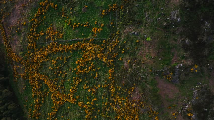 Slieve Gullion, County Armagh, Northern Ireland, May 2023. Drone Bird