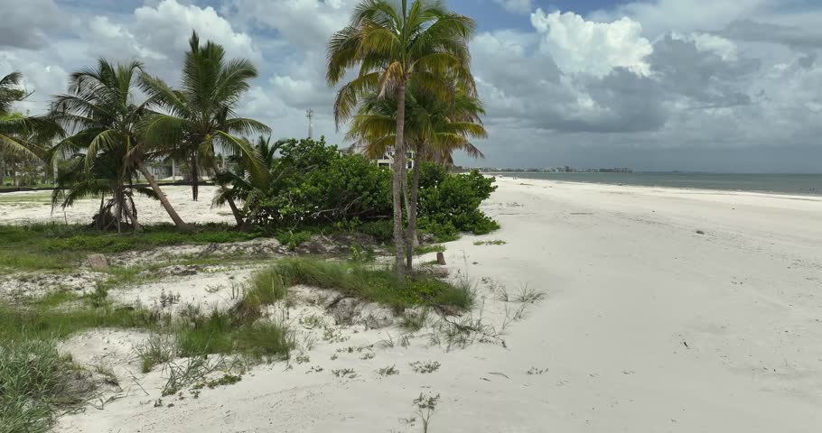 Reveal view of beach and palm trees at Ft Myers Beach Florida