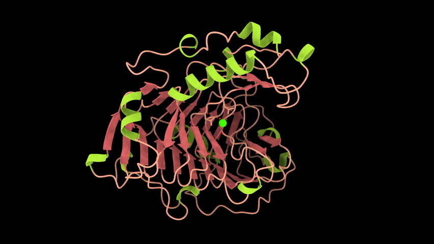 BACILLUS SUBTILIS PECTATE LYASE. PDB 1BN8. Used to remove pectin from ramie in a degumming process. Ribbon structure black background. 