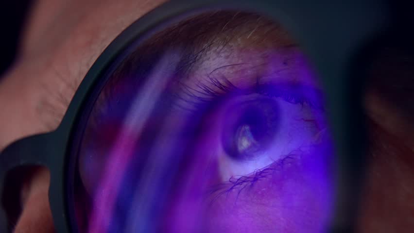 Shutterstock Video