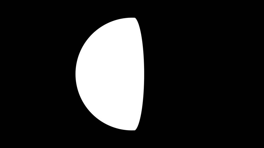 Shutterstock Video