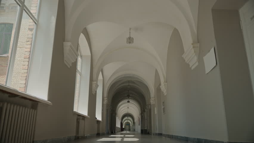 Back view behind group multiracial students four diversity friends African American Hispanic classmates buddies man male guy women female girls walk university college corridor hall go to lesson class