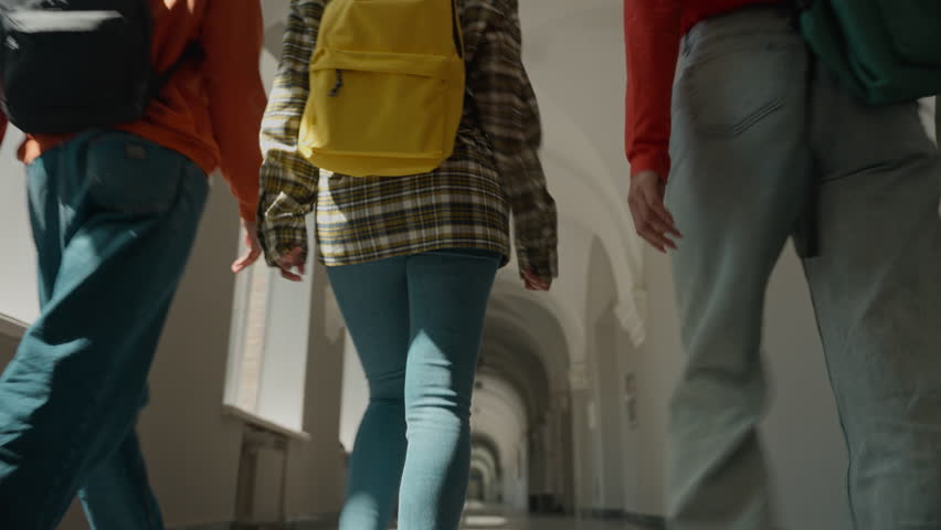 Back view behind group multiracial students four diversity friends African American Hispanic classmates buddies man male guy women female girls walk university college corridor hall go to lesson class