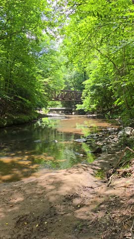 panning footage of the Chattahoochee River with flowing water and lush green trees and plants at Paces Mill park in Atlanta Georgia USA