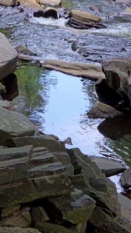 tilt footage of the Chattahoochee River with flowing water, rocks and lush green trees and plants at Paces Mill park in Atlanta Georgia USA