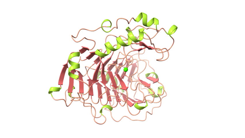 BACILLUS SUBTILIS PECTATE LYASE. PDB 1BN8. Used to remove pectin from ramie in a degumming process. Ribbon structure white background. 
