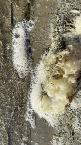 foam and dirt on the sealakeside