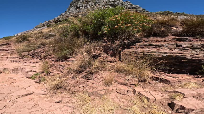 Hiking in Cape Town, South Africa