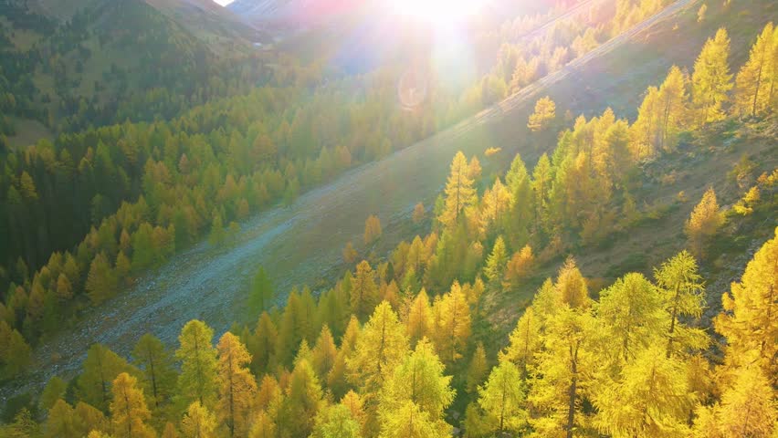 Switzerland, Pontresina, lark, autum, colors, beautiful, impressive, nature, mountain, swiss, tourism,