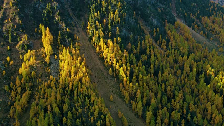 Switzerland, Pontresina, Autum, Colors, Mountaine, Nature, Impressive, documentary, advertising, beautiful, impressiv, autum, colours,
