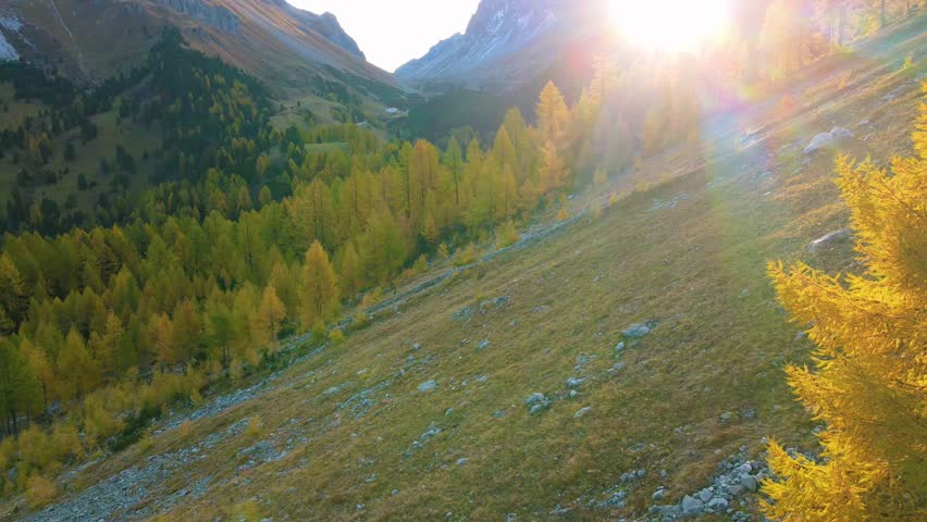 Switzerland, Pontresina, Alps, Alpen, Swiss, Tourism, Lark, Autum,