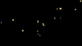 Maple Leaves Falling on Alpha Channel. 3D rendering. Maple leaves falling with alpha channel you can place on footage or background and easier to change color. - Powered by Shutterstock - Get 15% off with code: PIKWIZARD15
