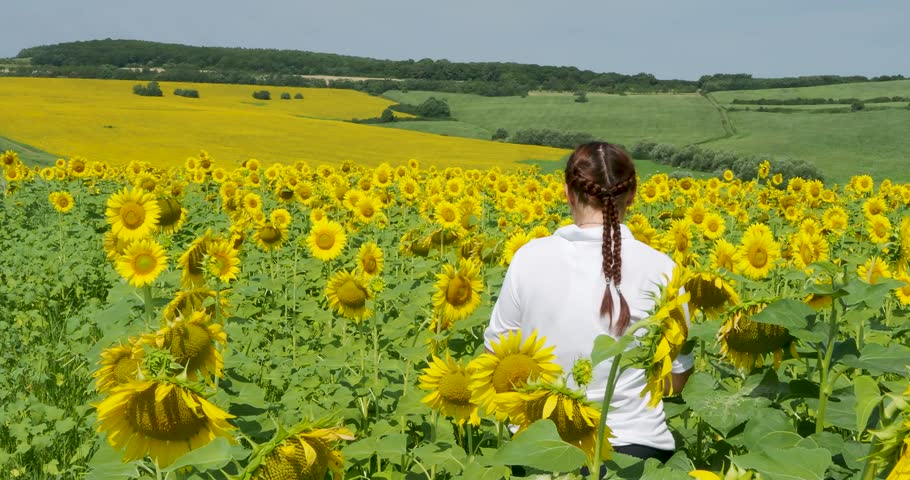 Woman walking through sunflower field bees pollinate landscape blue sky