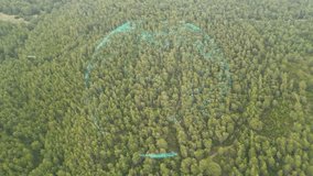 Green forest aerial view and environmental technology concept. Green tech. Ecology. Green transformation. GX. SDGs. - Powered by Shutterstock - Get 15% off with code: PIKWIZARD15