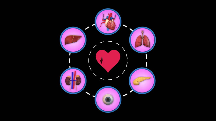 Human Organs medical innovation concept with Alpha matte