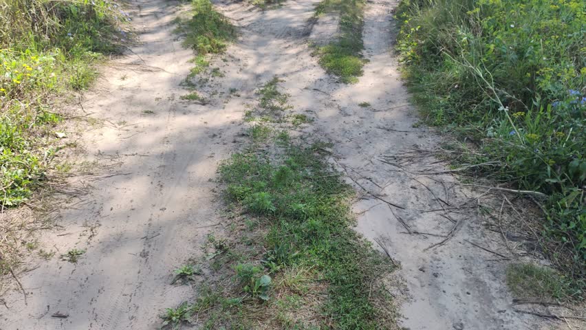 crossroads. dirt roads. the road diverges into two. sandy path. travel. transport infrastructure.