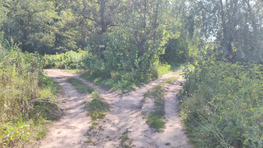 crossroads. dirt roads. the road diverges into two. sandy path. travel. transport infrastructure.