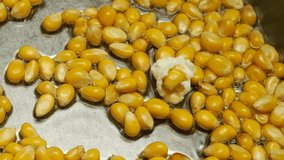 Popcorn grains are fried in vegetable oil and popping at the bottom of a metal pan. Slow motion. - Powered by Shutterstock - Get 15% off with code: PIKWIZARD15