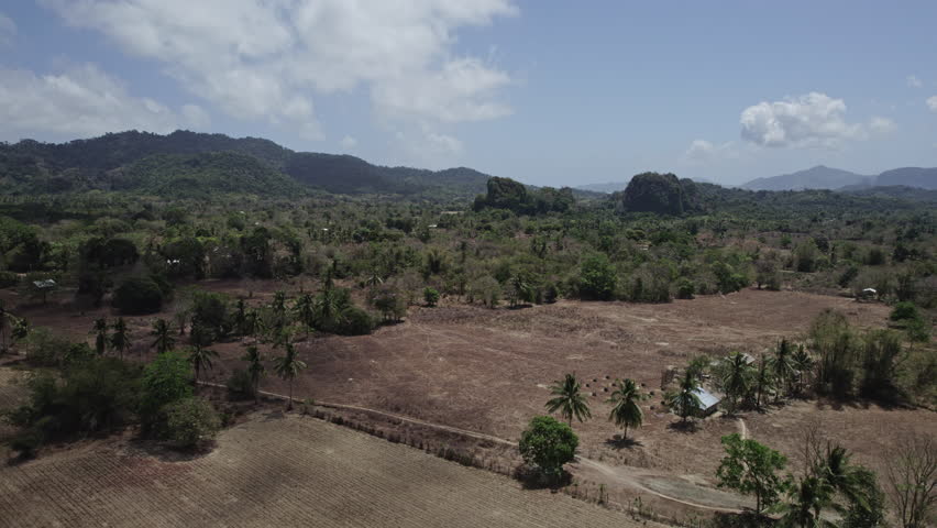 Mountain landscape with palm trees