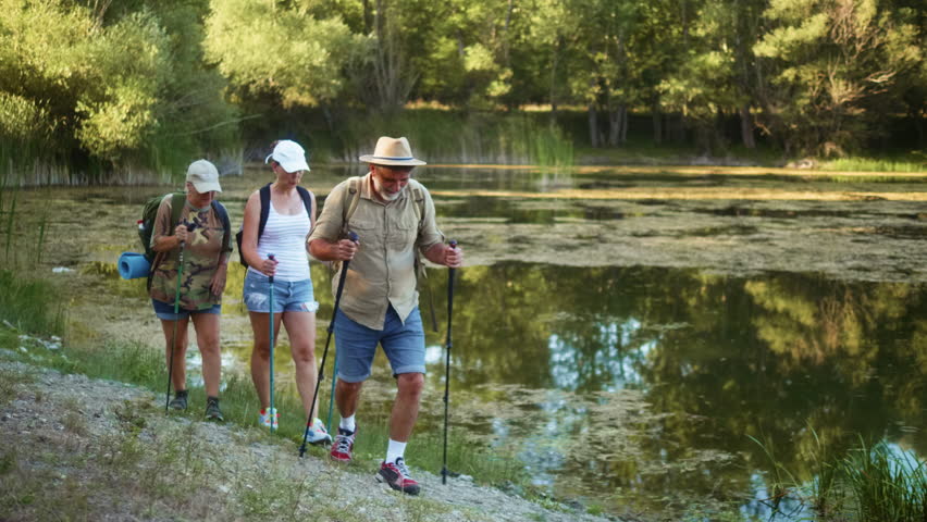 Group of senior hikers reaching the goal and celebrating success	