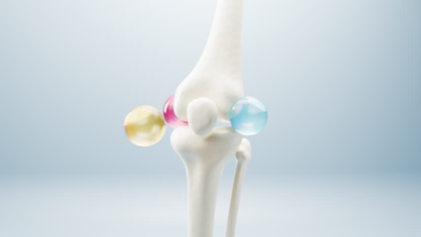 Animation 3D Joint and Knee Pain on on Soft background with copy space. knee and leg bones with glass shield. 3d rendering.