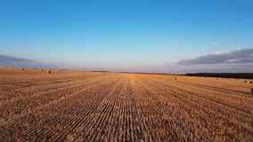 Dynamic FPV drone footage flying between bales of straw on a wheat field during golden hour in Bulgaria. Cinematic agricultural landscape with warm sunset light, open farmland and smooth FPV motion. - Powered by Shutterstock - Get 15% off with code: PIKWIZARD15