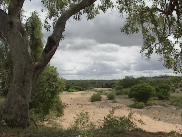 Dry river bed in Kruger National Park at Zandrivier.
