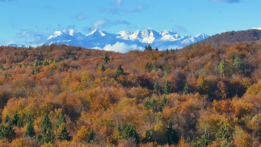 AERIAL: White snowy mountain peaks rise above the colorful autumn wooded hills. An incredibly beautiful blend of vibrantly colored woodland and majestic mountains heralding the changing of seasons.