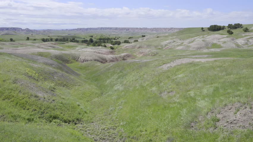 Prairie grass blowing in the wind over hills