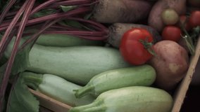 Farmer woman holding wooden box full of fresh raw vegetables standing in field during sunset. Basket with carrots, potato, tomatoes, carrot, onion, zucchini and beets. Natural food agriculture concept - Powered by Shutterstock - Get 15% off with code: PIKWIZARD15