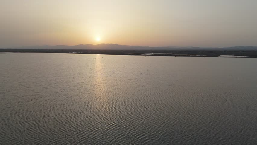 Flamingos on a saltwater lake at sunset, viewed from afar. Orange sunset glow. Peaceful water, flamingos foraging. Bird reserve.