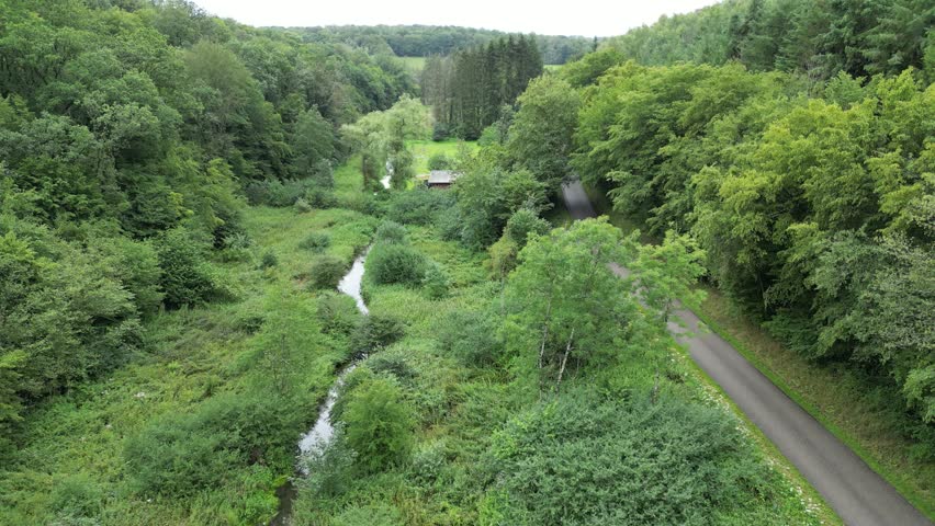 upward aerial shot of bushes forest creek small river in valley surrounded by hills green landscape nature in belgium