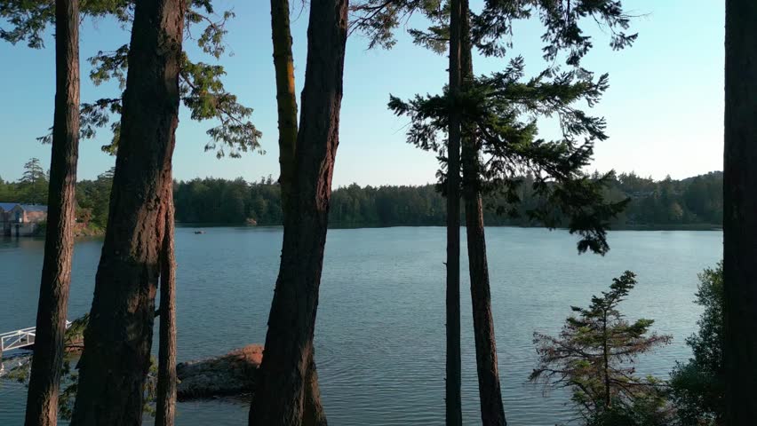 A seascape through Arbutus trees in View Royal, Victoria, Canada.